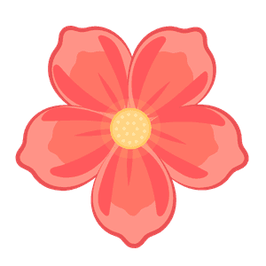 Decoration